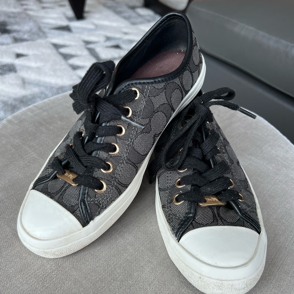 Skate Lace Up Sneaker In Mesh